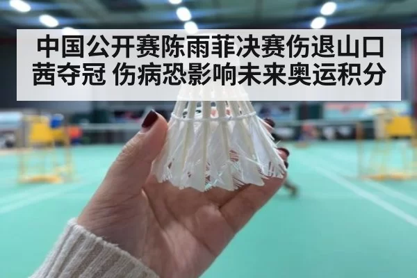 中国公开赛陈雨菲决赛伤退山口茜夺冠 伤病恐影响未来奥运积分